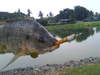 Preman lombung